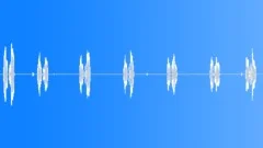 Melodious calling with wing flapping of a rufous-naped lark, South Africa Sound Effect