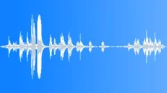 Melodious calls of various species of birds in an Indian forest Sound Effect