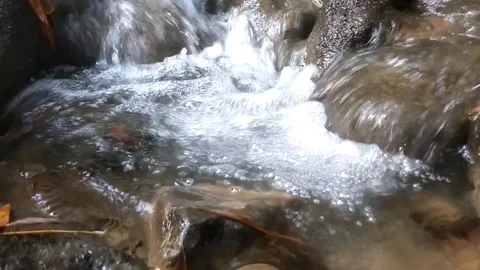 The Melody of a Clear River Stream 库存影片 333157218