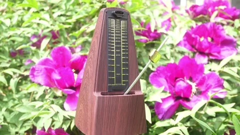 Melody of Spring to the Rhythmic Beat of the Metronome. Vídeo Stock 336656625