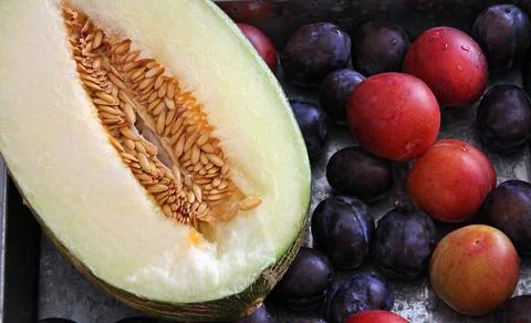 Melon and plums Stock Photos