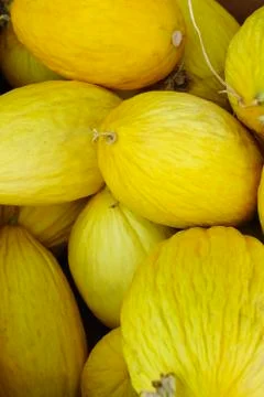 Melon background. Stock Photos