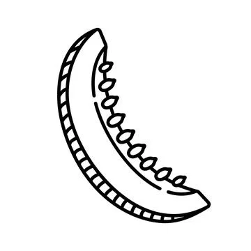 Melon black line icon Stock Illustration