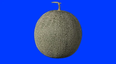 Melon Bluescreen HD Stock Footage 38210737