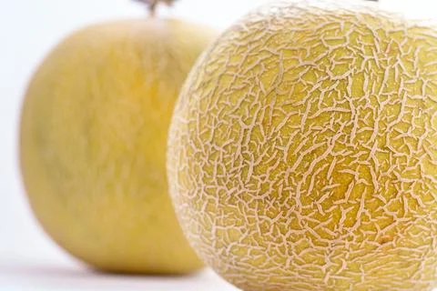 Melon Cantaloupe Stock Photos