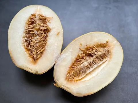 Melon cantaloupe Stock Photos