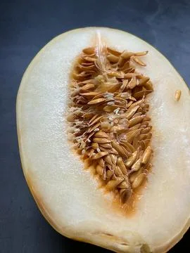 Melon cantaloupe Stock Photos