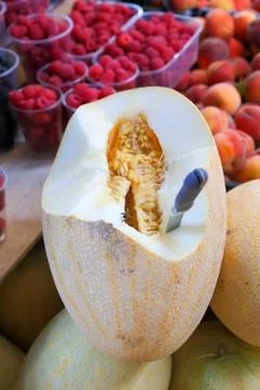 Melon close up on a counter Fotos de archivo