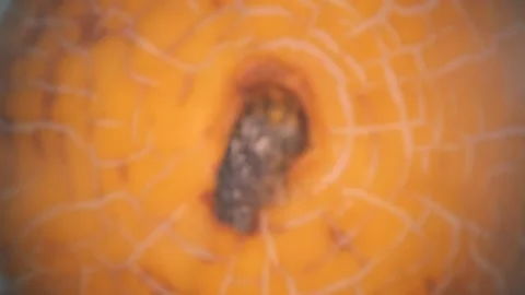 Melon close up Stock Footage 142241113