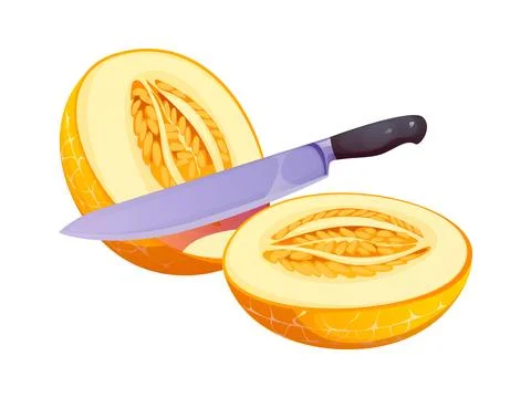 Melon cut into halves with seeds and kitchen knife Stock Illustration
