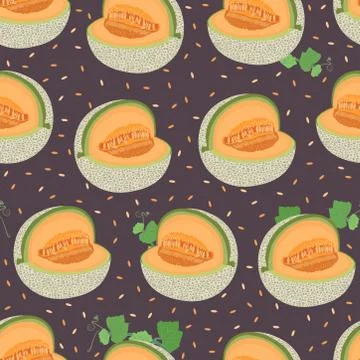 Melon cut seamless pattern on brown background with seed, Fresh cantaloupe me Stock Illustration