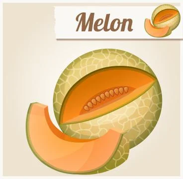 Melon. Detailed Vector Icon Stock Illustration
