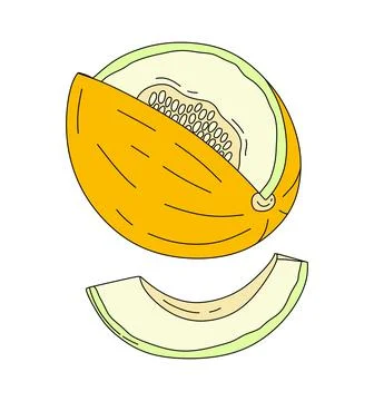 Melon doodle Vector color illustration isolated on white Stock Illustration