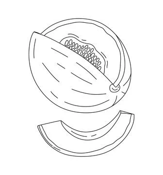Melon doodle Vector illustration coloring book for Kids Stock Illustration