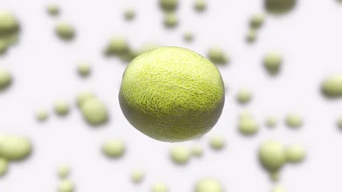 Melon Floating on an Out of Focus White Background Stock Footage 72299645