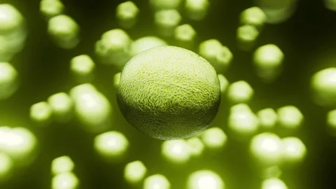 Melon Floating on a Vibrant Bokeh Background Stock Footage 72299643
