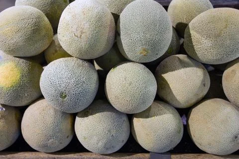 Melon in food store Stock Photos