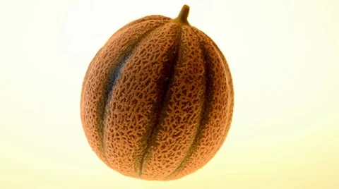 Melon Stock Footage 7130623