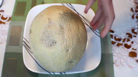Melon Stock Footage 22605066