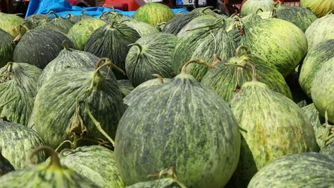 Melon Stockbeeldmateriaal 83864327