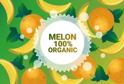 Melon fruit colorful circle copy space organic over fresh fruits pattern Illustrazione stock