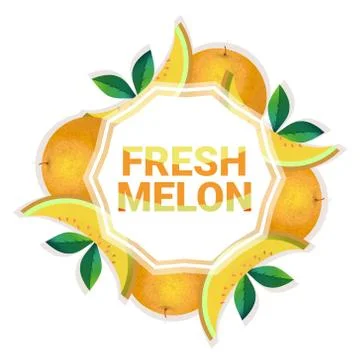 Melon fruit colorful circle copy space organic over white pattern background 库存插图
