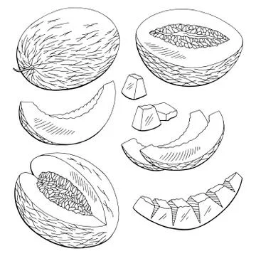Melon fruit graphic black white isolated set sketch illustration vector Stock Illustration