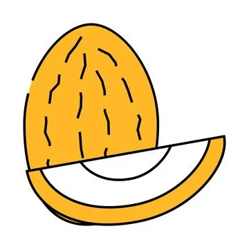 Melon fruit icon color illustration Stock Illustration