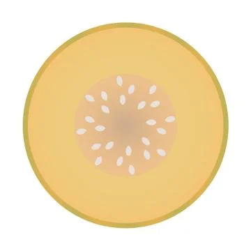 Melon fruit isolated on white background. Vector Illustration. Stock Illustration