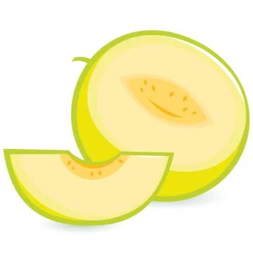 Melon fruit. Vector Illustration Stock Illustration