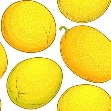 Melon fruit vector pattern on white background イラスト素材