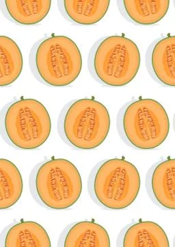 Melon half seamless pattern on white background with shadow, Fresh cantaloupe Illustrazione stock