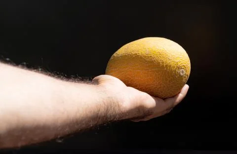 Melon in a hand on a black background Stock Photos