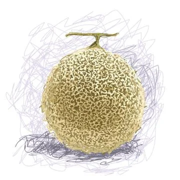Melon Stock Illustration