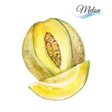 Melon Stock Illustration