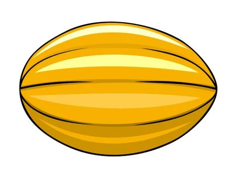 Melon Stock Illustration