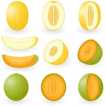 Melon Stock Illustration