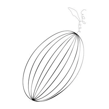 A melon Stock-Illustration