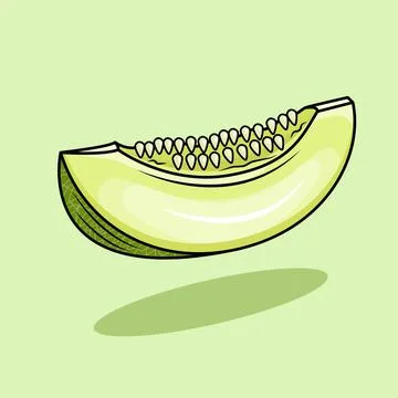 Melon Stock Illustration