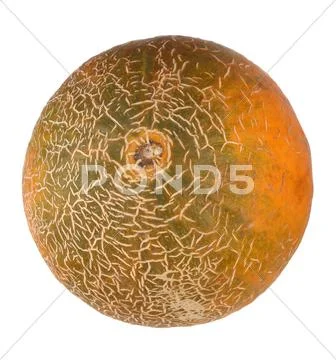 Melon isolated Stock Photos