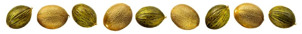 Melon isolated on white background. With clipping path Stock Illustration