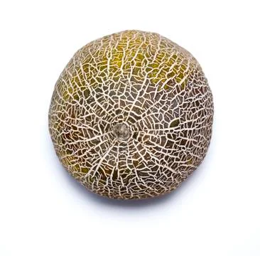 Melon isolated on white background. Stock Photos