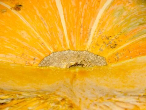 Melon isolated on white background. 스톡 사진