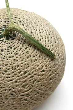 Melon isolated on white background Stock Photos