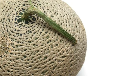 Melon isolated on white background Stock Photos