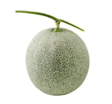 Melon isolated on white background Stock Photos