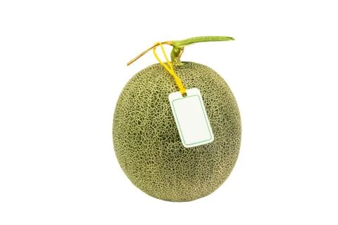 A melon isolated on white background Foto stock