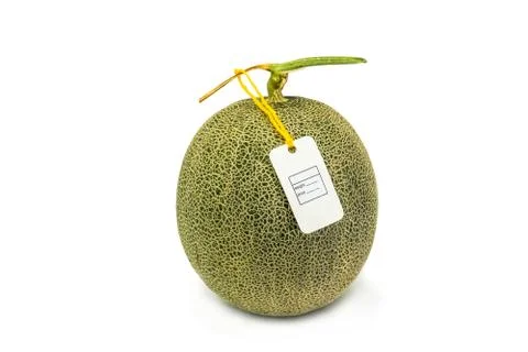 A melon isolated on white background Stock Photos