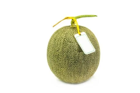 A melon isolated on white background Stock Photos