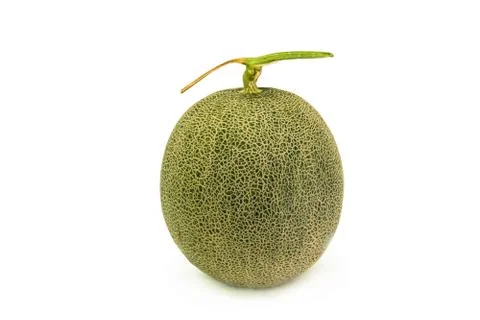 A melon isolated on white background Stock Photos